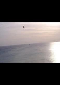 Playa de Palma Apartamento | Studio in front of the sea