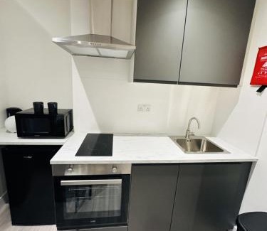Magherafelt Apartamento | Studio in Oval London