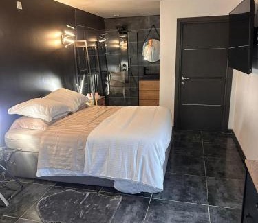 Portet-sur-Garonne Apartamento | Studio jacuzzi prive piscine commune