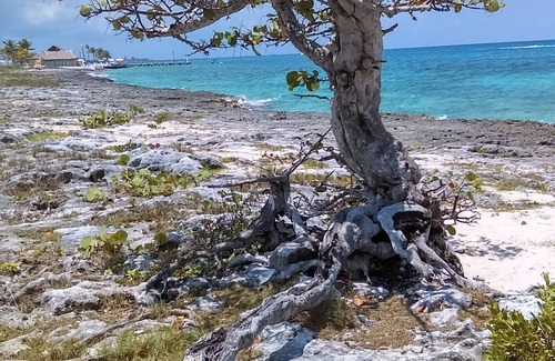 Cozumel Apartamento | Studio Kin. Cerca de playas, buceo y atracciones de la isla. Paraíso encontrado.