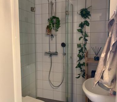 Kajaani Apartamento | Studio lähellä keskustaa