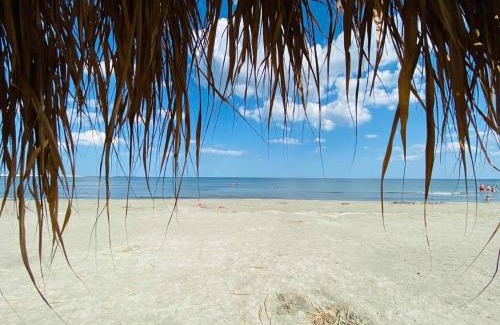 Navodari Apartamento | Studio la mare