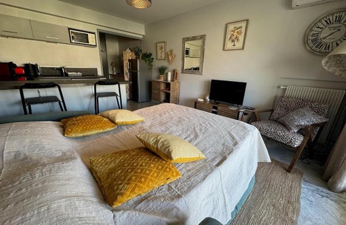 Mandelieu-la-Napoule Beach Apartamento | Studio La Napoule 2 min beach 4 people air conditioning