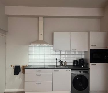 Leiden Apartamento | Studio Lage Rijndijk