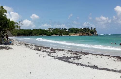 Bas du Fort Apartamento | Studio les pieds dans l'eau belle vue mer