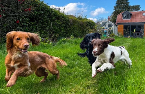 Cofton Hackett Apartamento | Studio/Lickey Hills/Near Attractions/Garden/Pet Ok