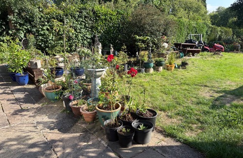Cleedownton Apartamento | Studio/lickey Hills/near Attractions/garden/petok
