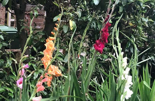 Cleedownton Apartamento | Studio/lickey Hills/near Attractions/garden/petok