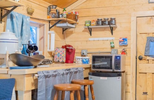 Fairbanks Cabina | Studio Log Cabin | Aurora Views!