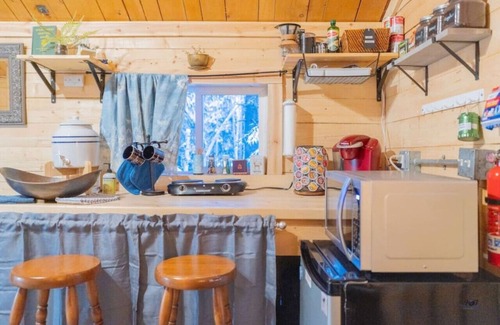 Fairbanks Cabina | Studio Log Cabin | Aurora Views!