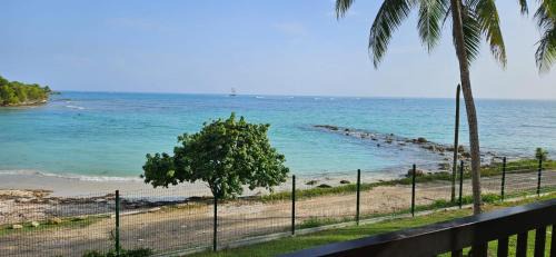 Bas du Fort Apartamento | Studio magnifique vue mer - Pieds dans l'eau - Citerne d'eau - Bord de plage