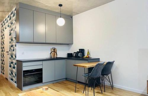 Gliwice Apartamento | Studio Mango w/Patio & Parking
