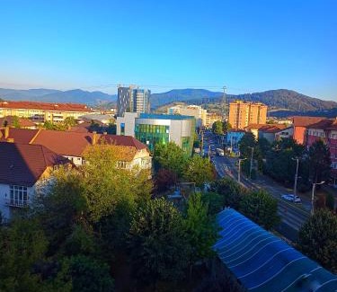 Piatra Neamt Apartamento | Studio Miruna