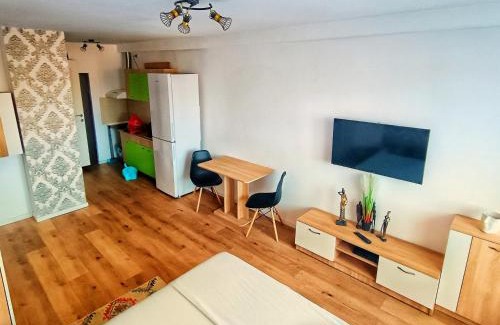 Piatra Neamt Apartamento | Studio Miruna
