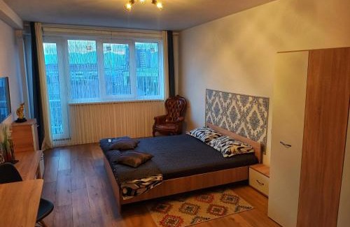 Piatra Neamt Apartamento | Studio Miruna