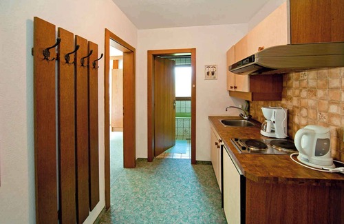 Hart im Zillertal Apartamento | Studio mit Balkon