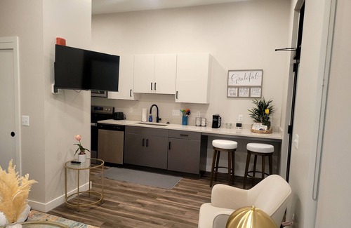 Detroit Apartamento | Studio Monthly & Daily Rental For Traveling Professionals,Corporate & Student's