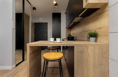 Baluty Apartamento | Studio Near Manufaktura Łódź by Renters