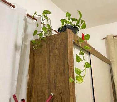 Cidade Nova Apartamento | Studio no centro do Rio de Janeiro, ao lado do sambódromo