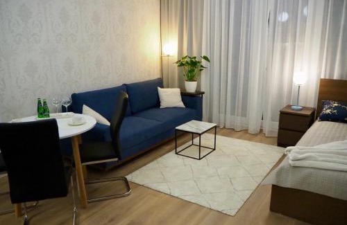 Wilanow Apartamento | Studio nr 2 close to Medicover and Paley Institute