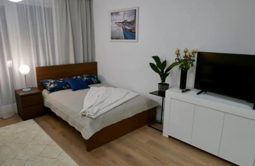 Wilanow Apartamento | Studio nr 2 close to Medicover and Paley Institute