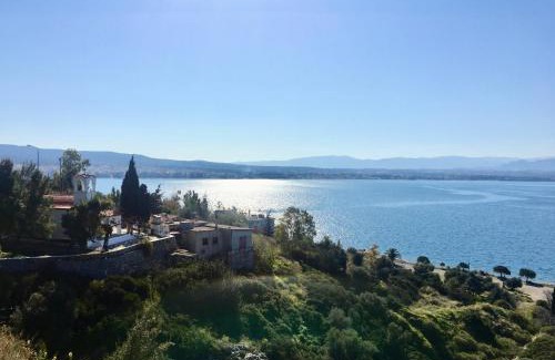 Loutraki-Agioi Theodoroi Apartamento | Studio on the beach