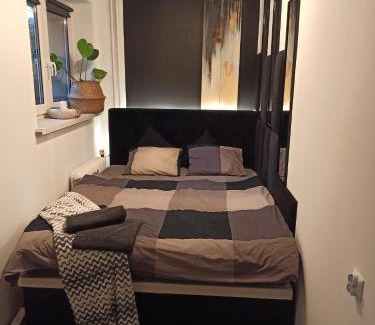 Chorzow Apartamento | Studio Park Śląski Katowice/Chorzów
