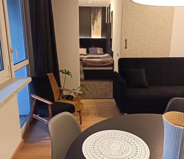 Chorzow Apartamento | Studio Park Śląski Katowice/Chorzów