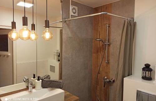 Chorzow Apartamento | Studio Park Śląski Katowice/Chorzów