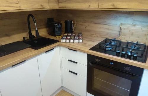 Chorzow Apartamento | Studio park Katowice/Chorzów
