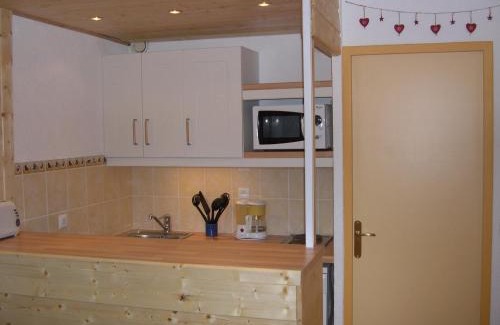 Reberty Apartamento | Studio pieds des pistes, proche quartier Bruyères, skis et animaux admis - FR-1-574-18