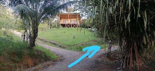 Langostino Casa | Studio Pilon De Pavones