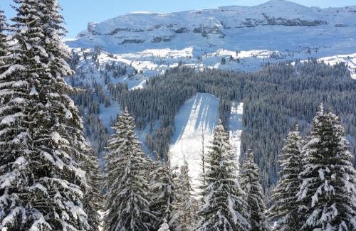 Flaine Apartamento | Studio Rénové avec Cabine, Balcon et Casier à Ski, au Centre de Flaine Forêt - FR-1-425-154