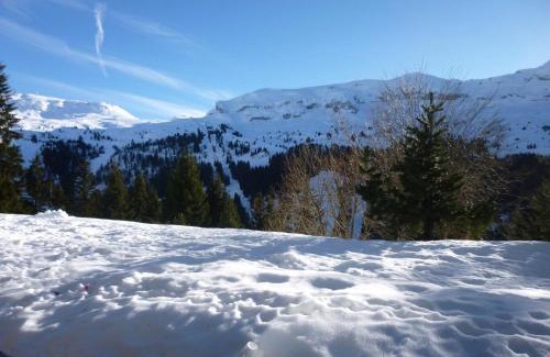 Flaine Apartamento | Studio Rénové avec Cabine, Balcon et Casier à Ski, au Centre de Flaine Forêt - FR-1-425-154