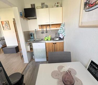 Mulhouse Apartamento | Studio RDC calme avec parking fermé près autoroute et tram C