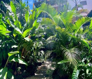 Proyecto Escola Apartamento | Studio Romantique - Tropical Garden