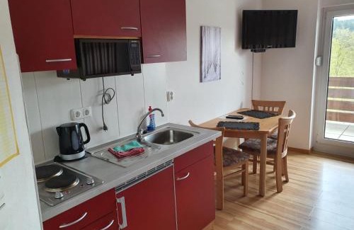Kuestelberg Apartamento | Studio Schöne Aussicht mit Fahrradkeller am Rotharrsteig