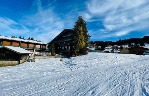 Les Gets Apartamento | Studio ski aux pieds vue superbe sur les pistes