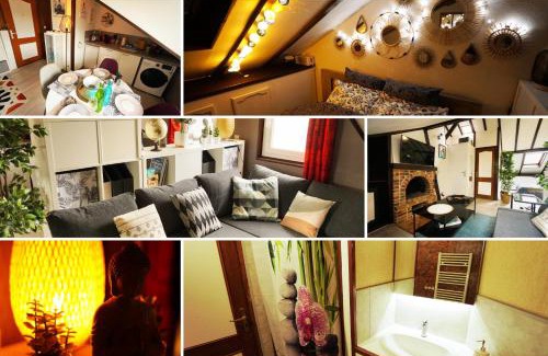 Anatole France Danton Apartamento | Studio "Sous les Toits" - Charmant et calme - Gare et Tram à 4 min