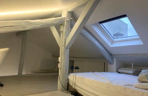 Quartier du Pont-de-Flandre Apartamento | Studio type loft