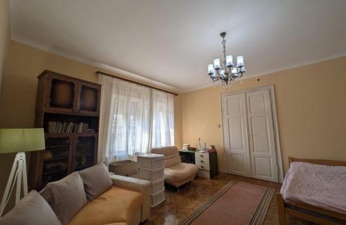 Zrenjanin Apartamento | Studio u centru