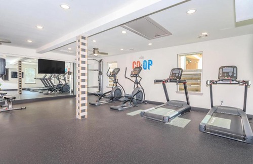 Astrodome Apartamento | Studio w Handicap access - Walk to Texas Medical Center, NRG, Rice University, Parks, Zoo