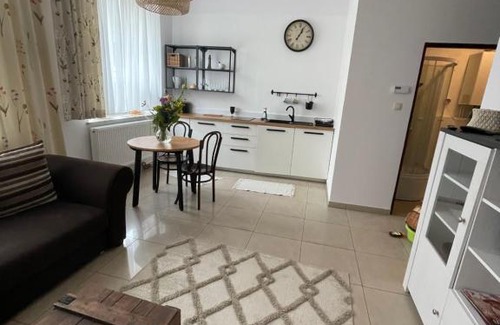 Grudziadz Apartamento | Studio w Rynku