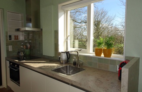 Geersdijk Cabaña | Studio Wijtvliet ~ Holiday home in a rural location surrounded by greenery ~
