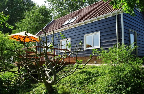Geersdijk Cabaña | Studio Wijtvliet ~ Holiday home in a rural location surrounded by greenery ~