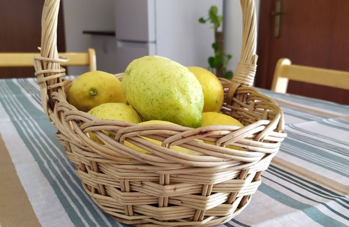 Vila Real Apartamento | Studio with 2 bedrooms in the Douro region!