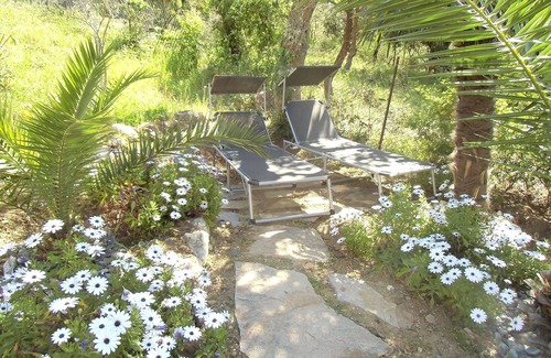 Gassin Apartamento | Estudio con jardín para 2 personas. Alojamiento económico en el Golfo de St Tropez.