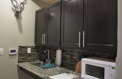 Lakeside Park Cabina | Studio with larger kitchenette, fireplace, and nearby attractions