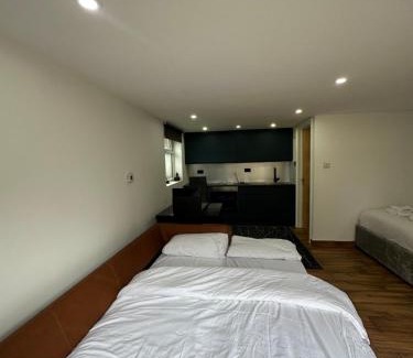 Cricklewood Apartamento | Studio with own Garden