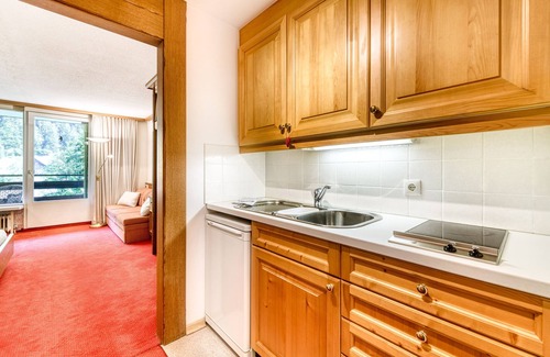 Brand Apartamento | Studio Zentral in Brand